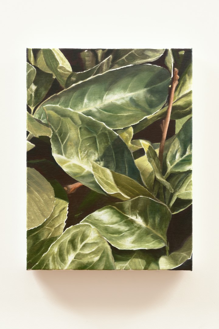 Midnight Sun (2024), 40 x 30 cm, oil on linen (private collection)